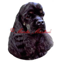 Samolepka americký kokršpaněl archiv