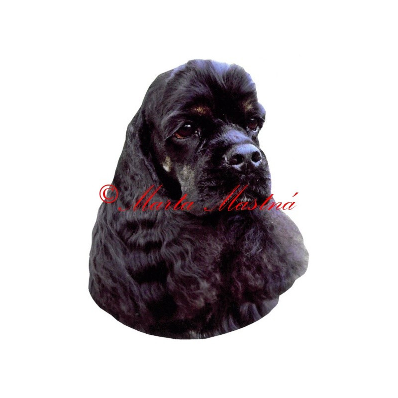 Samolepka americký kokršpaněl archiv