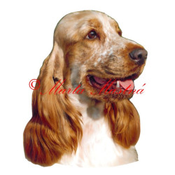 Samolepka kokršpaněl archiv