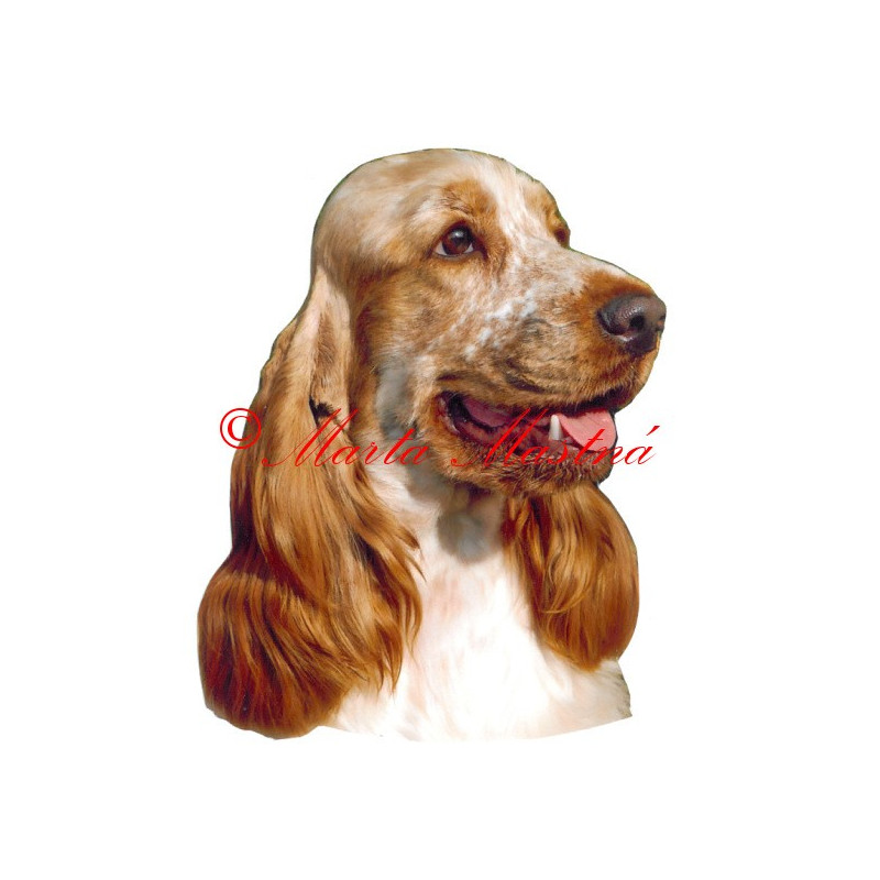 Samolepka kokršpaněl archiv