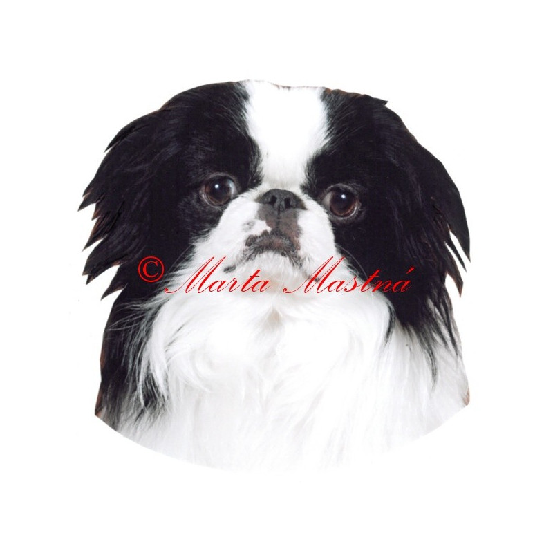 Samolepka japončík, japan chin archiv