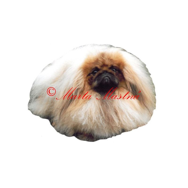Samolepka pekinéz archiv