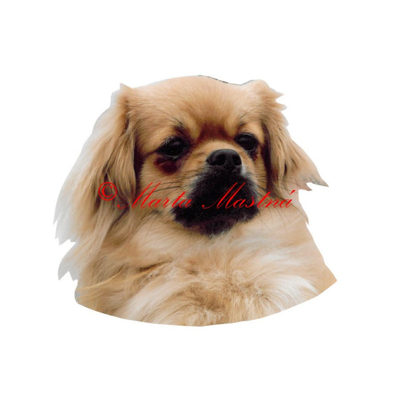 Samolepka tibetský španěl archiv