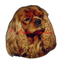 Samolepka kavalír King Charles španěl archiv