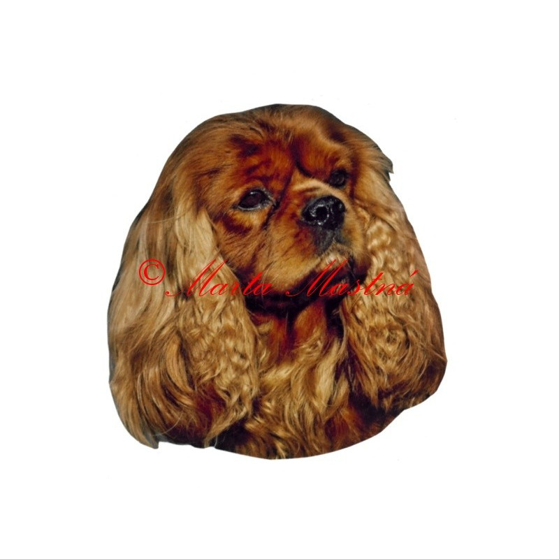 Samolepka kavalír King Charles španěl archiv