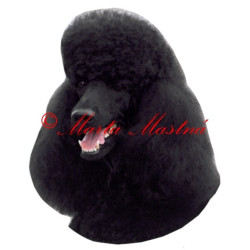 Samolepka pudl archiv