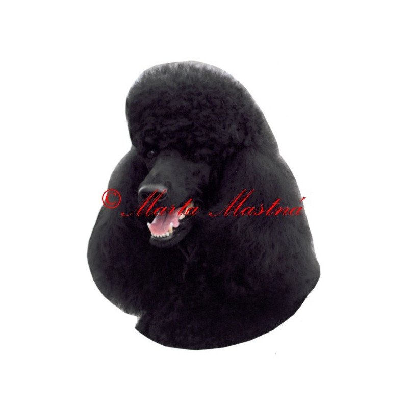 Samolepka pudl archiv