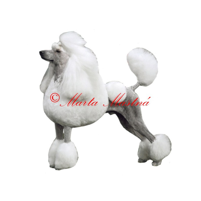 Samolepka pudl archiv