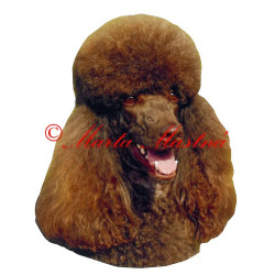 Samolepka pudl archiv