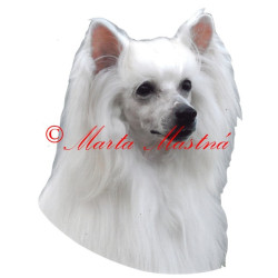 Samolepka čínský chocholatý pes labutěnka archiv