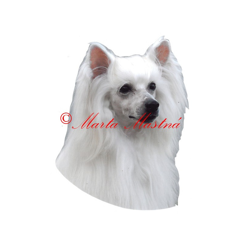 Samolepka čínský chocholatý pes labutěnka archiv