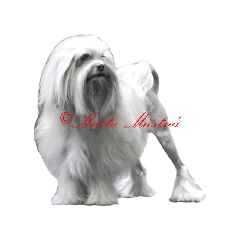 Samolepka lvíček archiv