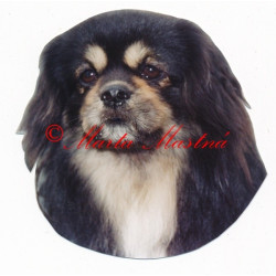 Samolepka tibetský španěl archiv