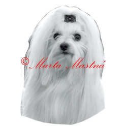 Samolepka maltézský psík archiv