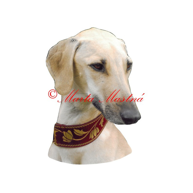 Samolepka arabský chrt sluga, sloughi, archiv