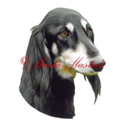 Samolepka perský chrt saluki, archiv