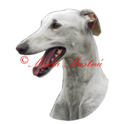 Samolepka španělský galgo, chrt, archiv