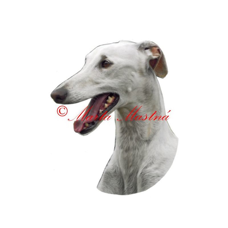 Samolepka španělský galgo, chrt, archiv