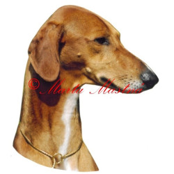 Samolepka azavak, chrt, archiv