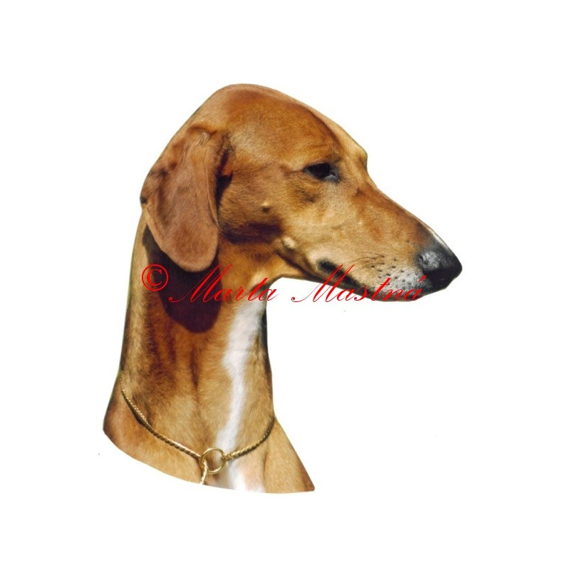 Samolepka azavak, chrt, archiv