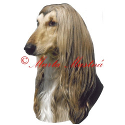 Samolepka afghánský chrt, archiv