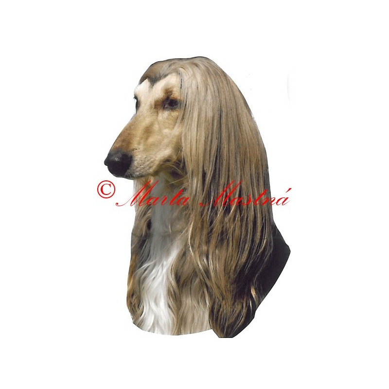 Samolepka afghánský chrt, archiv