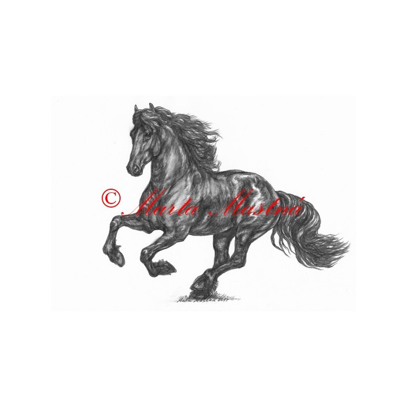 Obraz fríský kůň, koně, tužka - tisk