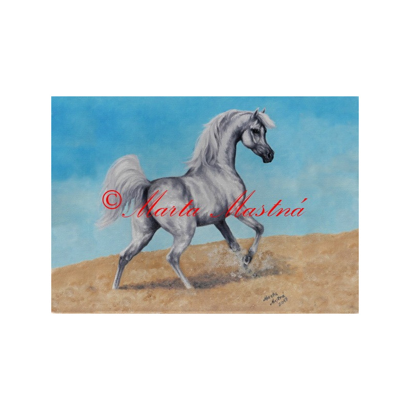 Obraz arabský plnokrevník, kůň, koně, olejomalba - tisk