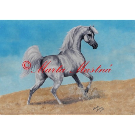 Obraz arabský plnokrevník, kůň, koně, olejomalba - tisk
