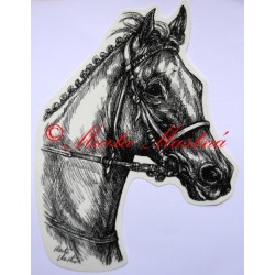 Samolepka anglický plnokrevník Tiumen, kůň, koně