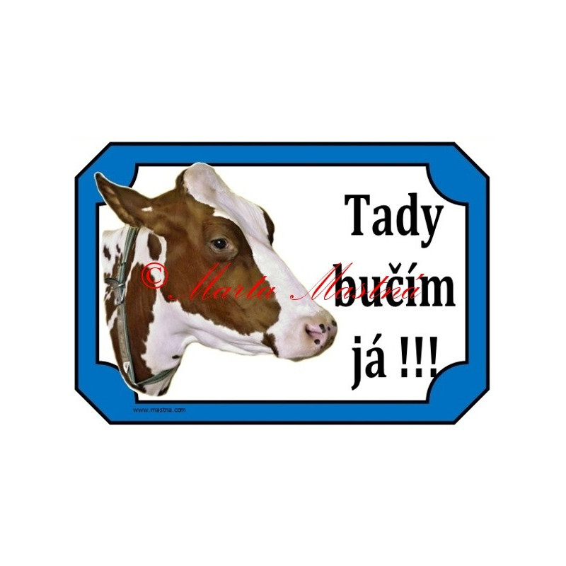 Tabulka kráva, skot