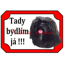 Tabulka ruská bolonka, boloňský psík barevný