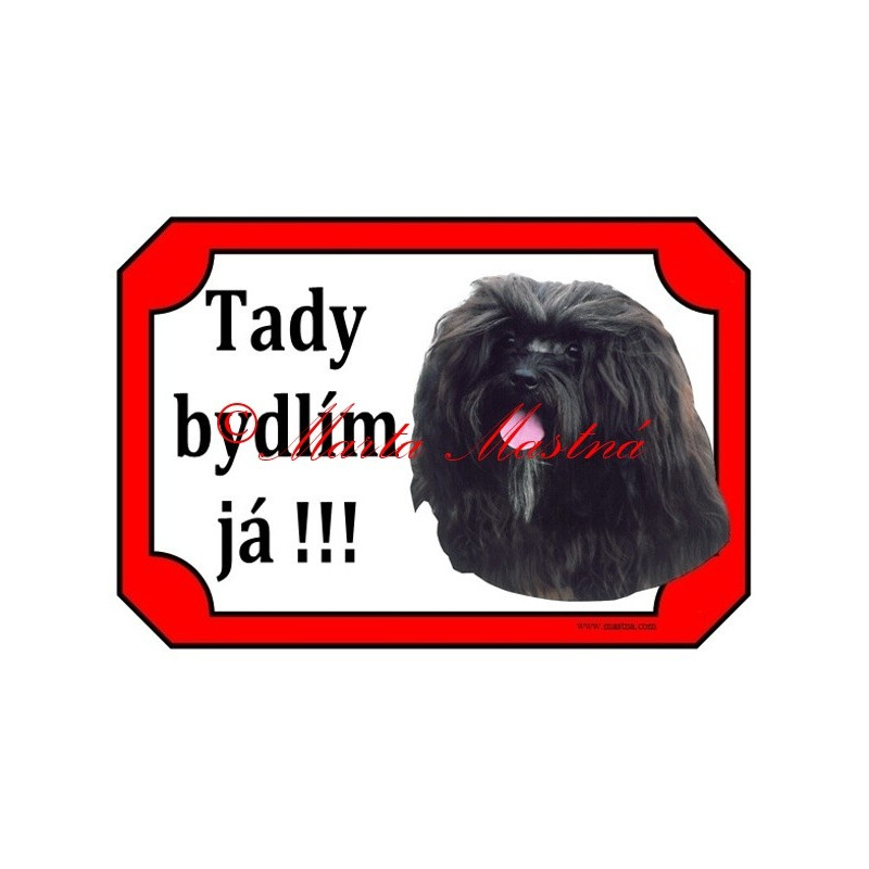 Tabulka ruská bolonka, boloňský psík barevný