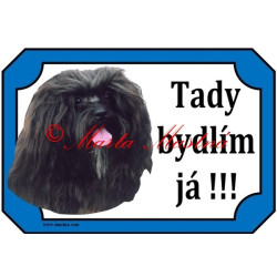 Tabulka ruská bolonka, boloňský psík barevný