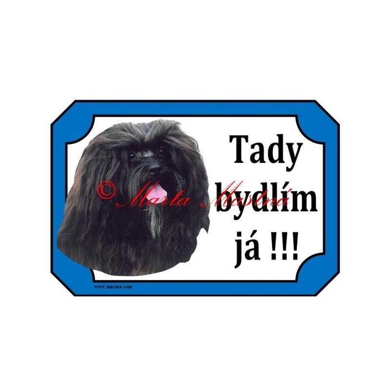 Tabulka ruská bolonka, boloňský psík barevný