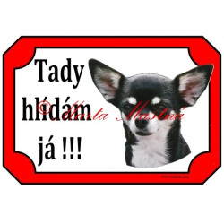 Tabulka čivava, chihuahua krátkosrstá