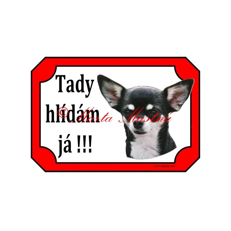 Tabulka čivava, chihuahua krátkosrstá