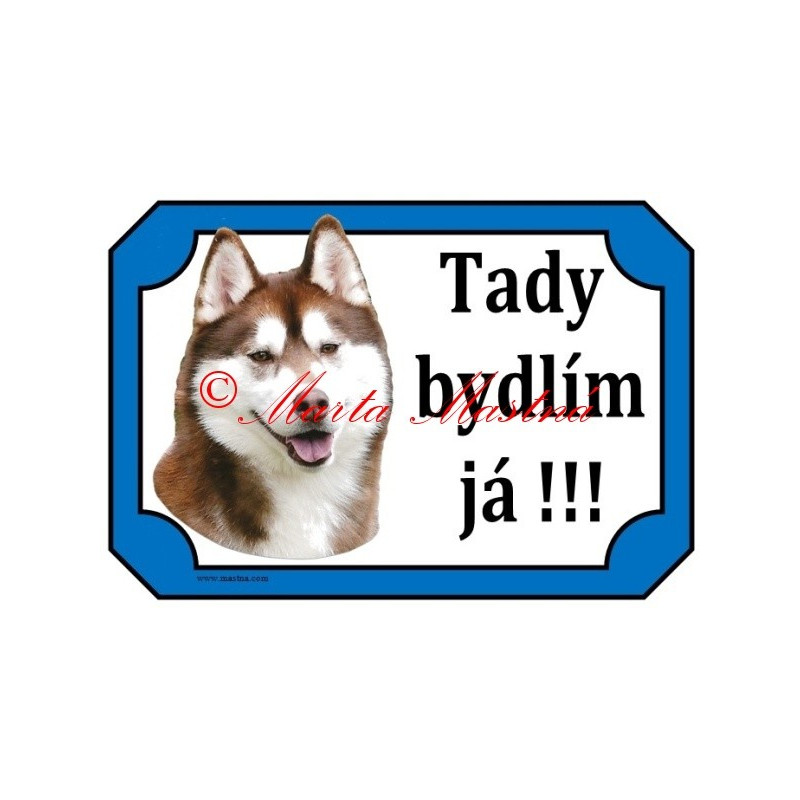 Tabulka sibiřský husky hnědý