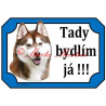 Tabulka sibiřský husky hnědý