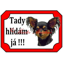 Tabulka pražský krysařík dlouhosrstý