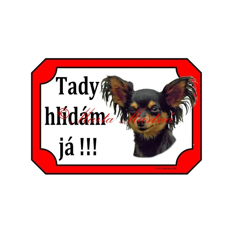 Tabulka pražský krysařík dlouhosrstý