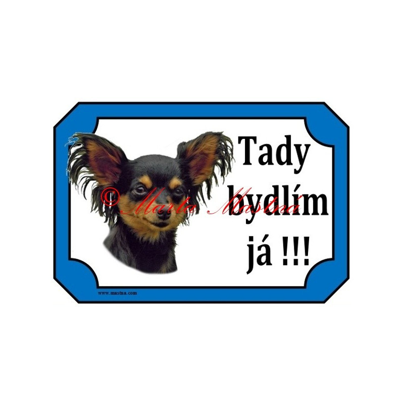 Tabulka pražský krysařík dlouhosrstý