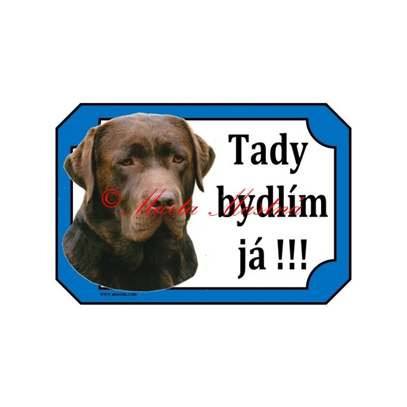 Tabulka labrador retrívr