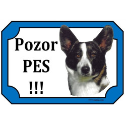 Tabulka velškorgi cardigan