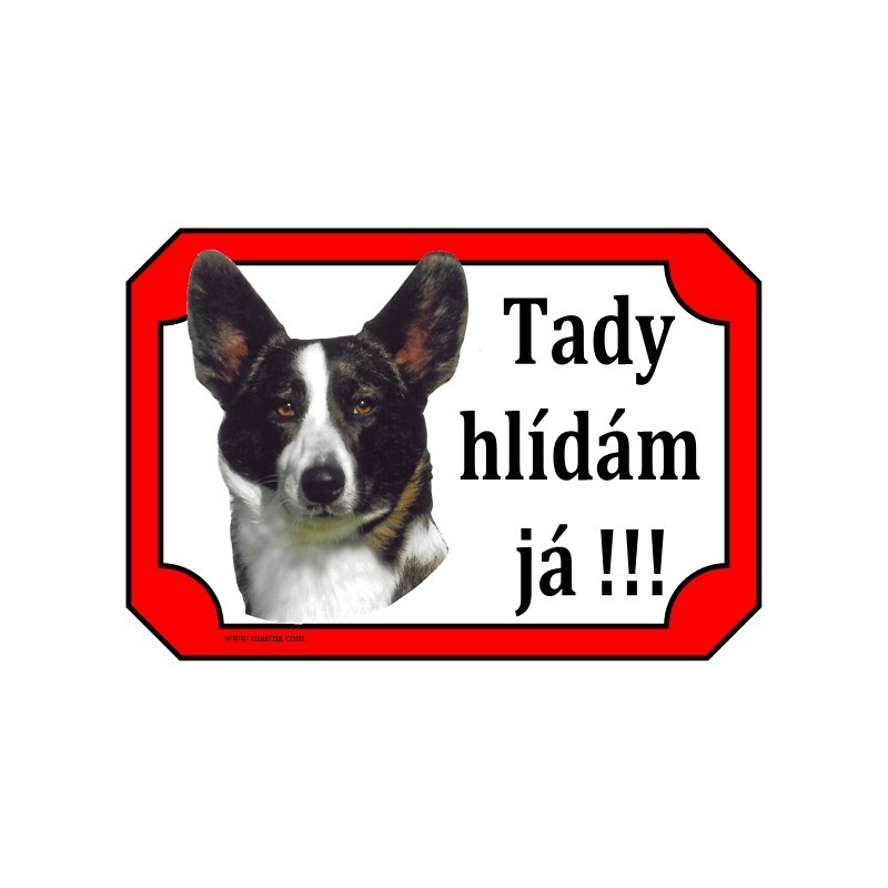 Tabulka velškorgi cardigan