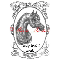 Tabulka arabský kůň, koně