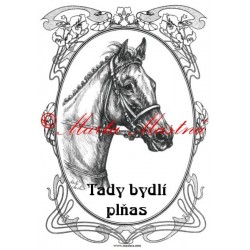 Tabulka anglický plnokrevník, kůň, koně