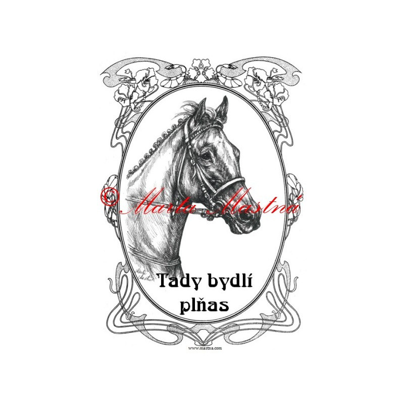 Tabulka anglický plnokrevník,  kůň, koně