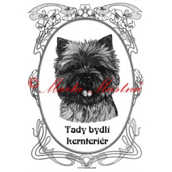 Tabulka kernteriér, cairn terier