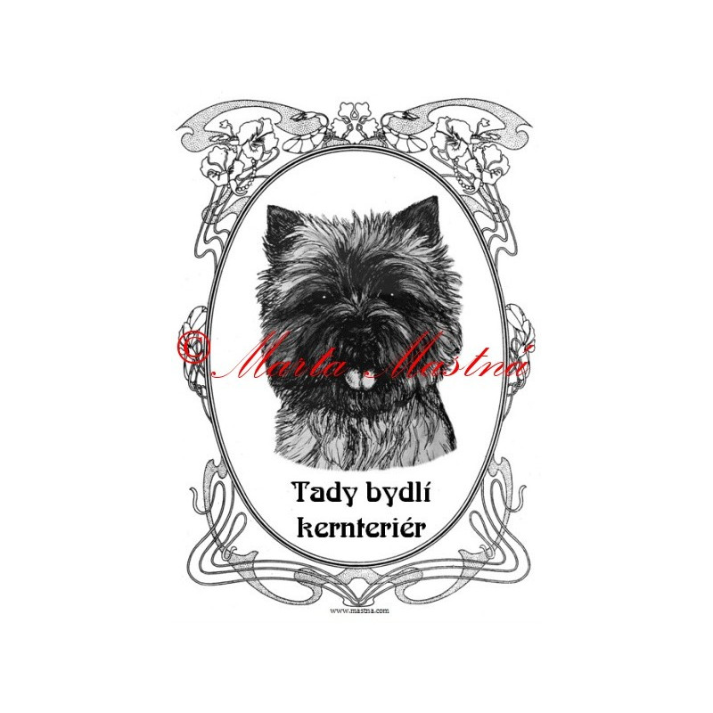 Tabulka kernteriér, cairn terier